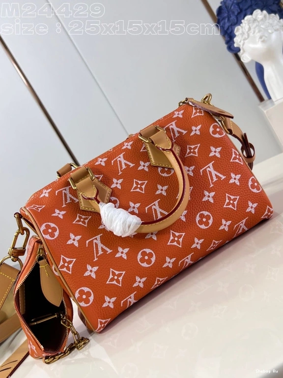 Louis Vuitton SPEEDY 25 0717